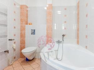 Pronájem bytu 4+kk, Praha - Karlín, Thámova, 120 m2