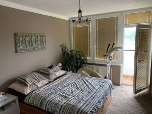 Pronájem bytu 3+1, Chomutov, Březenecká, 74 m2