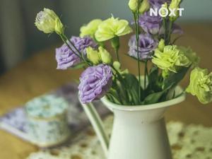 Prodej rodinného domu, České Budějovice, Nádražní, 106 m2