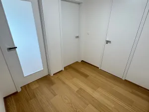 Pronájem bytu 2+kk, Praha, V třešňovce, 57 m2