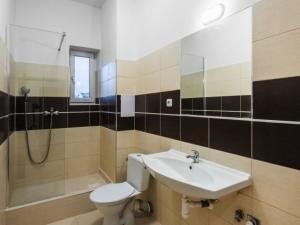 Prodej bytu 2+kk, Ostrava - Vítkovice, Erbenova, 52 m2