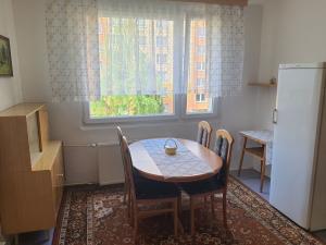 Pronájem bytu 1+1, Teplice - Trnovany, Julia Payera, 36 m2