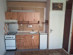 Pronájem bytu 1+1, Teplice - Trnovany, Julia Payera, 36 m2