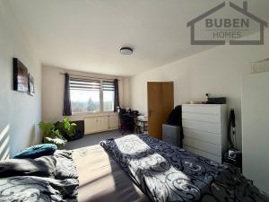 Pronájem bytu 1+1, Planá, Fučíkova, 42 m2