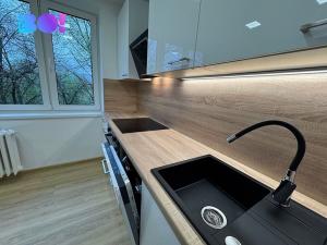 Prodej bytu 2+1, Karviná, Havířská, 60 m2