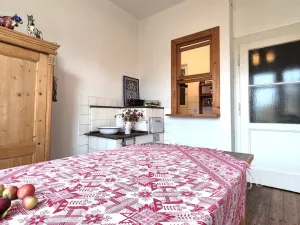 Prodej vícegeneračního domu, Písek, Harantova, 454 m2