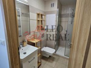 Pronájem bytu 1+1, Mladá Boleslav - Mladá Boleslav II, 17. listopadu, 37 m2