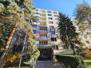 Pronájem bytu 1+1, Mladá Boleslav - Mladá Boleslav II, 17. listopadu, 37 m2