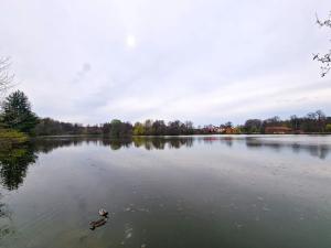 Prodej rodinného domu, Svojšice, 93 m2