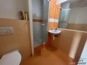 Pronájem bytu 2+kk, Hodonín, Pančava, 49 m2