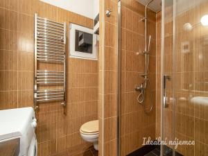 Prodej bytu 2+kk, Praha - Žižkov, Přemyslovská, 49 m2