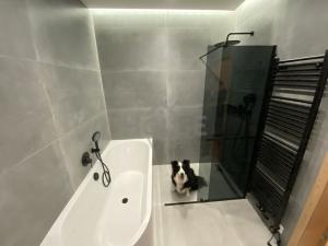 Prodej bytu 3+kk, Praha - Karlín, 105 m2