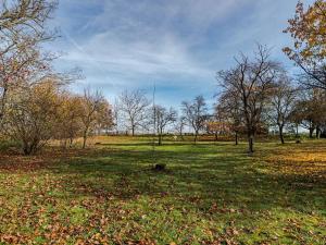 Prodej zemědělské usedlosti, Vysoké Mýto, 250 m2