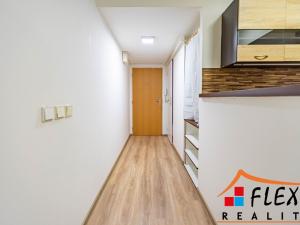 Pronájem bytu 1+1, Opava - Předměstí, Těšínská, 41 m2