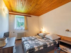 Prodej ubytování, Rokytnice nad Jizerou - Horní Rokytnice, 360 m2