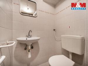 Pronájem zemědělské usedlosti, Čistá, 94 m2