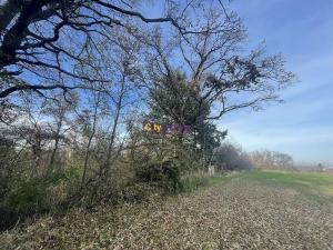 Prodej louky, Popovičky, 1643 m2