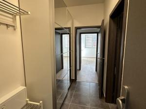 Pronájem bytu 2+kk, Přeštice, Řičákova, 59 m2