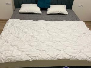 Pronájem bytu 2+kk, Přeštice, Řičákova, 59 m2