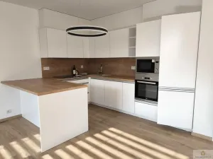 Pronájem bytu 1+kk, Olomouc - Nová Ulice, Karla Mareše, 50 m2