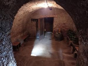 Prodej vinného sklepa, Drnholec, 60 m2