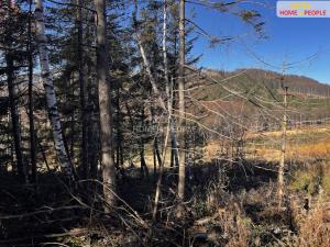 Prodej pozemku pro bydlení, Chvalčov, 3129 m2