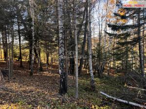 Prodej pozemku pro bydlení, Chvalčov, 3129 m2