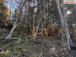 Prodej pozemku pro bydlení, Chvalčov, 3129 m2