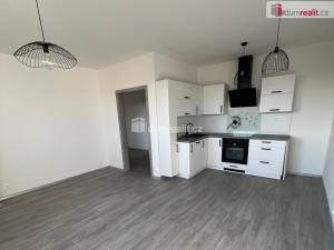 Pronájem bytu 2+kk, Ostrov, Lidická, 50 m2
