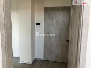 Pronájem bytu 2+kk, Ostrov, Lidická, 50 m2