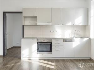 Prodej apartmánu, Krajková, 250 m2