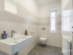 Prodej apartmánu, Krajková, 250 m2