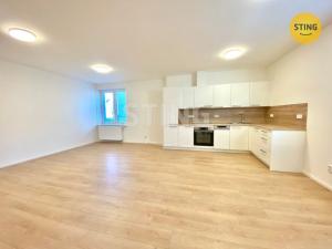 Pronájem bytu 2+kk, Opava - Kateřinky, Holasická, 65 m2