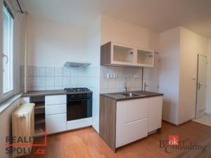 Pronájem bytu 1+1, Plzeň - Jižní Předměstí, U Borského parku, 42 m2