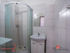 Pronájem bytu 1+1, Plzeň - Jižní Předměstí, U Borského parku, 42 m2