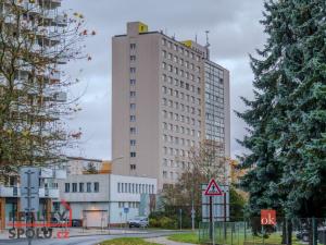Pronájem bytu 1+1, Plzeň - Jižní Předměstí, U Borského parku, 42 m2