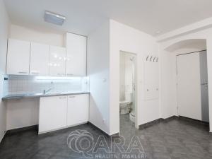 Pronájem bytu 1+kk, Benátky nad Jizerou - Benátky nad Jizerou I, Vaněčkova, 453 m2