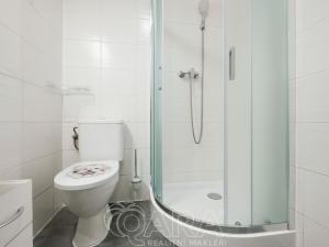 Pronájem bytu 1+kk, Benátky nad Jizerou - Benátky nad Jizerou I, Vaněčkova, 32 m2