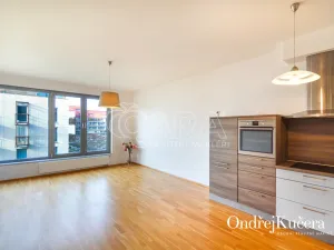 Pronájem bytu 2+kk, Praha - Vinohrady, Korunní, 69 m2