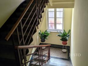 Pronájem bytu 3+1, Olomouc, Smetanova, 72 m2