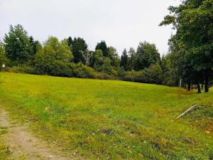 Prodej louky, Herálec, 35197 m2