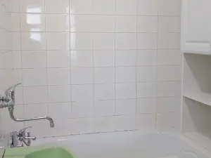 Pronájem bytu 2+kk, Praha - Žižkov, Žerotínova, 46 m2