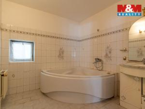 Prodej rodinného domu, Nepomyšl, 410 m2