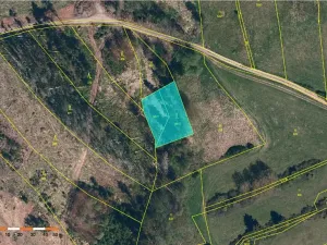 Prodej lesa, Vyskytná nad Jihlavou, 1283 m2