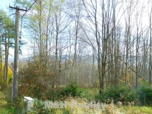 Prodej rodinného domu, Frýdlant nad Ostravicí, Podlesí, 42 m2