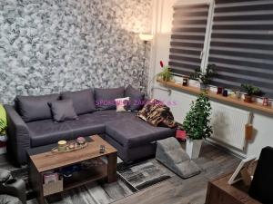 Prodej bytu 3+1, Česká Lípa, Budyšínská, 70 m2