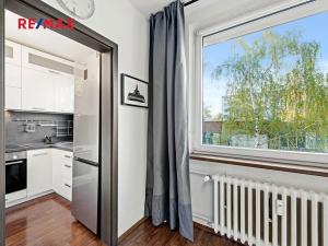 Pronájem bytu 1+kk, Praha - Chodov, Benkova, 30 m2