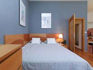 Pronájem bytu 1+kk, Praha - Vinohrady, Sázavská, 35 m2