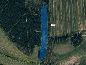 Dražba lesa, Žirovnice, 5041 m2