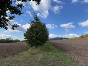 Prodej lesa, Lánov - Horní Lánov, 4009 m2